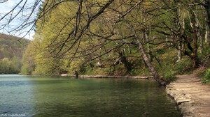 Kozjak E 20160407